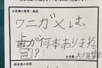 道の駅で子供が聞いた「ワニガメに歯は何本ある？」　答えに「本格的で勉強になる」を選択 道の駅で子供が聞いた「ワニガメに歯は何本ある？」　答えに「本格的で勉強になる」