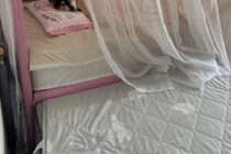 「お布団を全力でエンジョイしてる…！」　7万人が癒やされた「ねぼすけ」な犬を選択 「お布団を全力でエンジョイしてる…！」　7万人が癒やされた「ねぼすけ」な犬