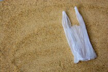 レジ袋の禁止・有料化は本当に効果があるのか？ 海辺のごみを調べた結果…