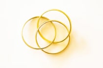 一夫多妻婚を再考する　新研究が一夫一妻婚優位の通説を覆す