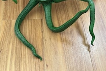 帰宅し電気をつけたらいたのが？　2万人が「こんなの見たらビビる」と感じたモノ