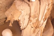 ペルーで発掘された5,000年前の女性、髪も皮膚も保存…　ペルー古代集落で発見