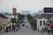 【3選】日本の海岸で発見された新種の生き物