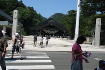 山陰地方では初　島根の海岸で発見された新種のイシサンゴ化石