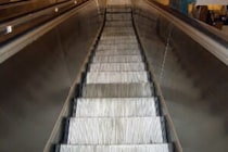 猫がエスカレーターを逆走　「『なんで上に行けない！』って顔してる」