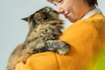 猫を飼うことが、あなたの脳（そして猫の脳）に及ぼす影響