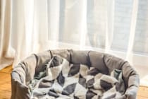 ペットの死は「人と同じほどつらい」　研究が示すペットロスの深刻さ