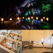 グランピング＆温泉も。夜の森を彩る光と音のアート空間【チームラボ 幽谷隠田跡】