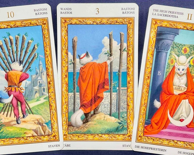 【牡牛座】週間タロット占い《来週:2025年10月20日〜10月26日》の総合運&恋愛運