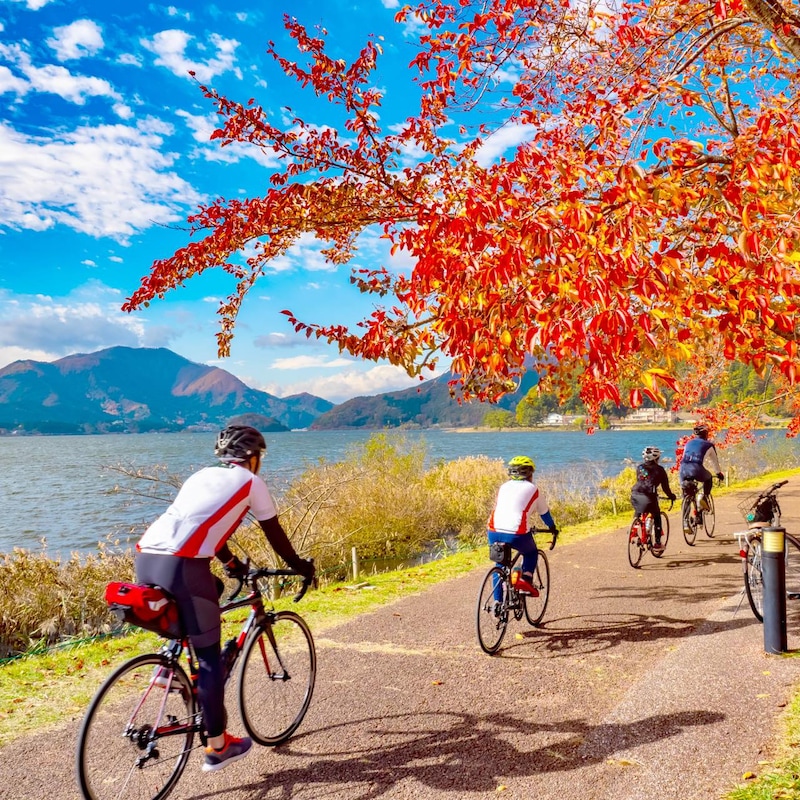 【思考をキレイにする旅の仕方(494)】 人口が増え続ける町を訪れて考えたこと