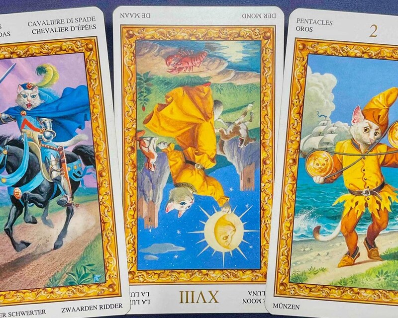 【魚座】週間タロット占い《来週：2025年10月27日〜11月2日》の総合運＆恋愛運