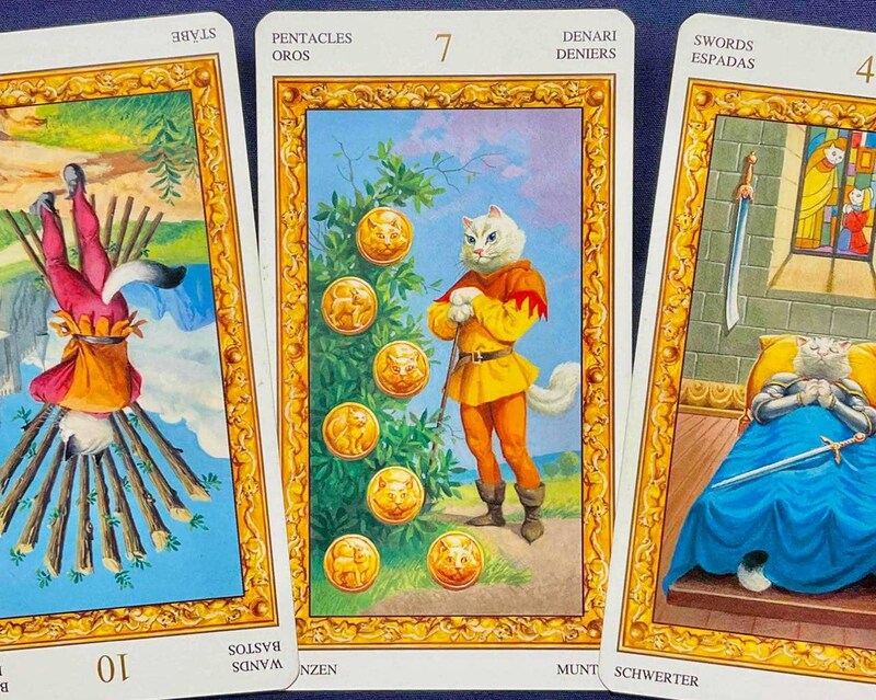 【蟹座】週間タロット占い《来週：2025年11月3日〜11月9日》の総合運＆恋愛運