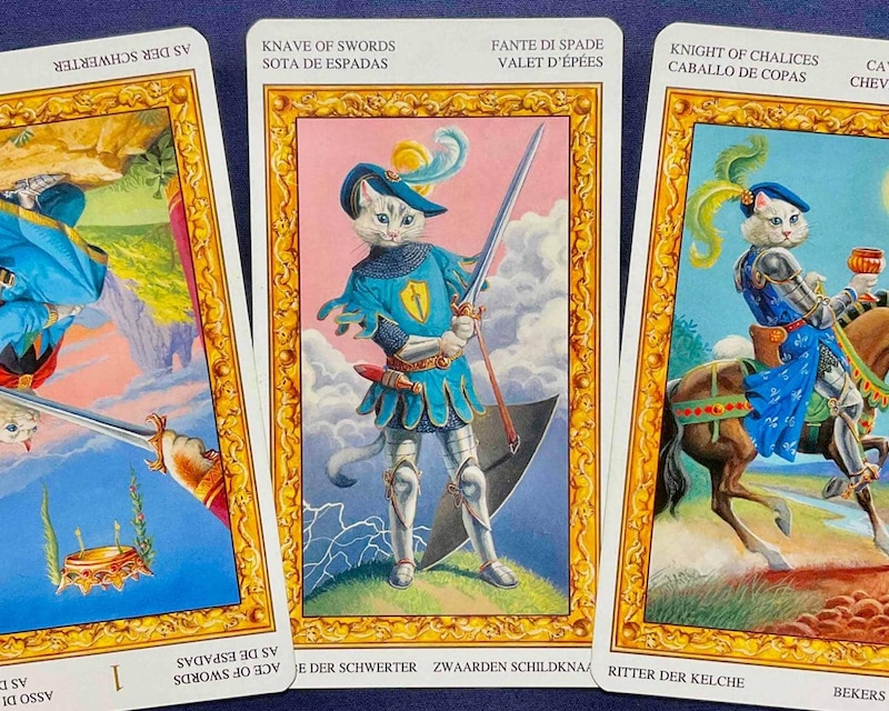 【蠍座】週間タロット占い《来週：2025年11月3日〜11月9日》の総合運＆恋愛運