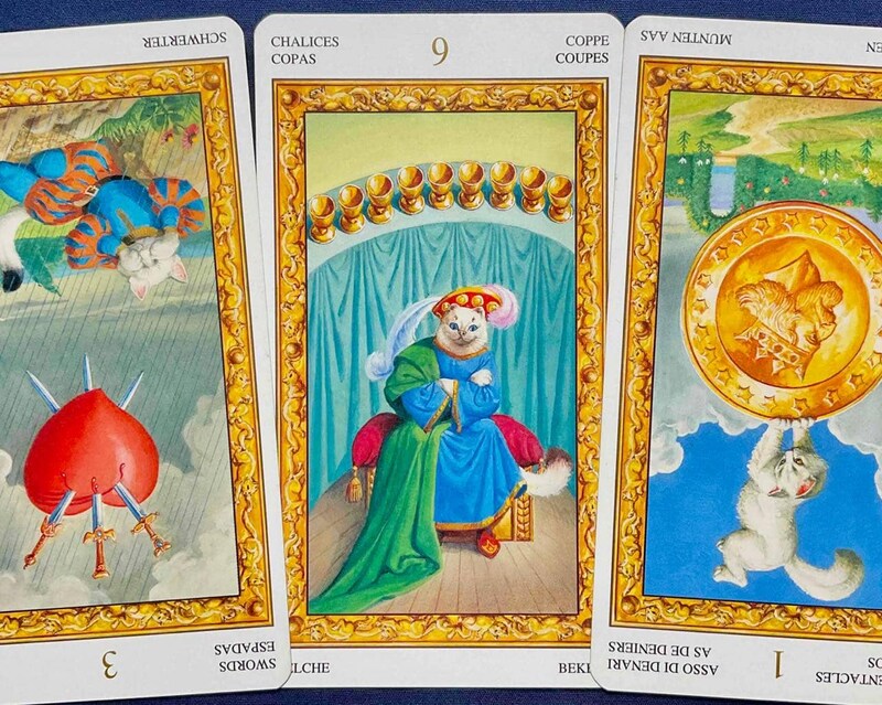 【蟹座】週間タロット占い《来週：2025年11月17日〜11月23日》の総合運＆恋愛運