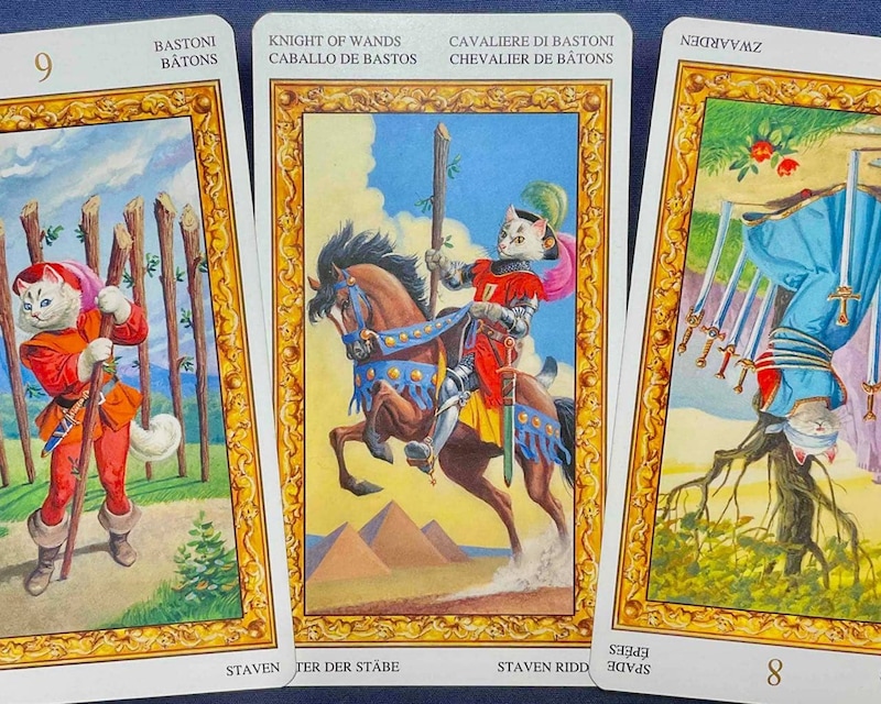 【獅子座】週間タロット占い《来週：2025年11月24日〜11月30日》の総合運＆恋愛運