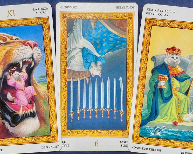 【山羊座】週間タロット占い《来週：2025年11月24日〜11月30日》の総合運＆恋愛運