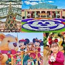 夢と感動が詰まった冬の魔法！東京ディズニーリゾート【ディズニー・クリスマス2025】完全ガイド