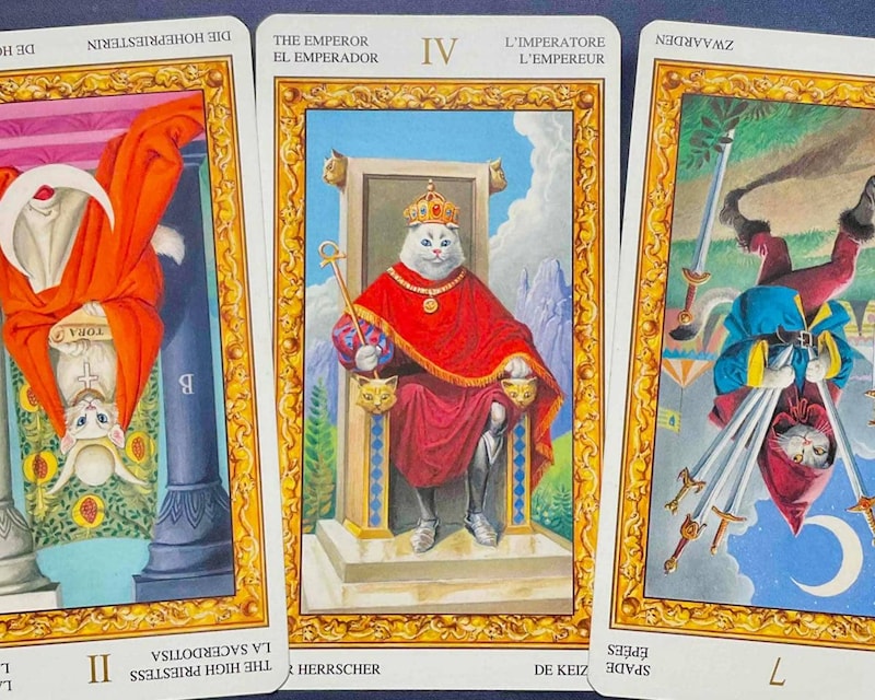 【山羊座】週間タロット占い《来週：2025年12月8日〜12月14日》の総合運＆恋愛運