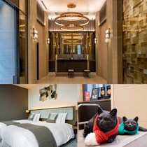 都会的なセンスが光る【ホテル ザ セレスティン銀座】上質かつ居心地のいい滞在を