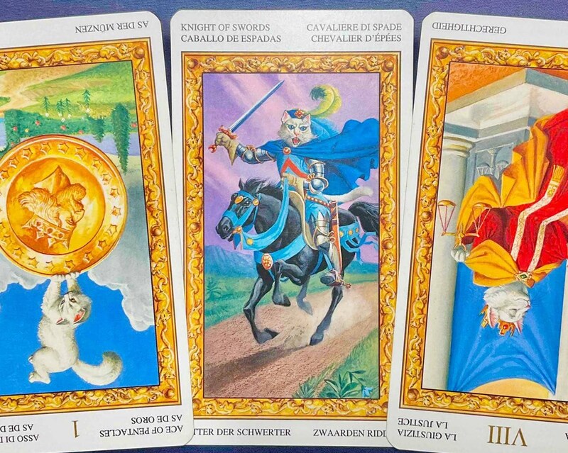 【牡羊座】週間タロット占い《来週:2025年12月22日〜12月28日》の総合運&恋愛運