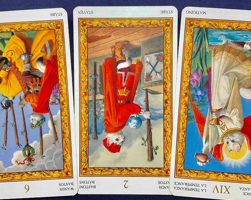 【山羊座】週間タロット占い《来週:2025年12月29日〜2026年1月4日》の総合運&恋愛運