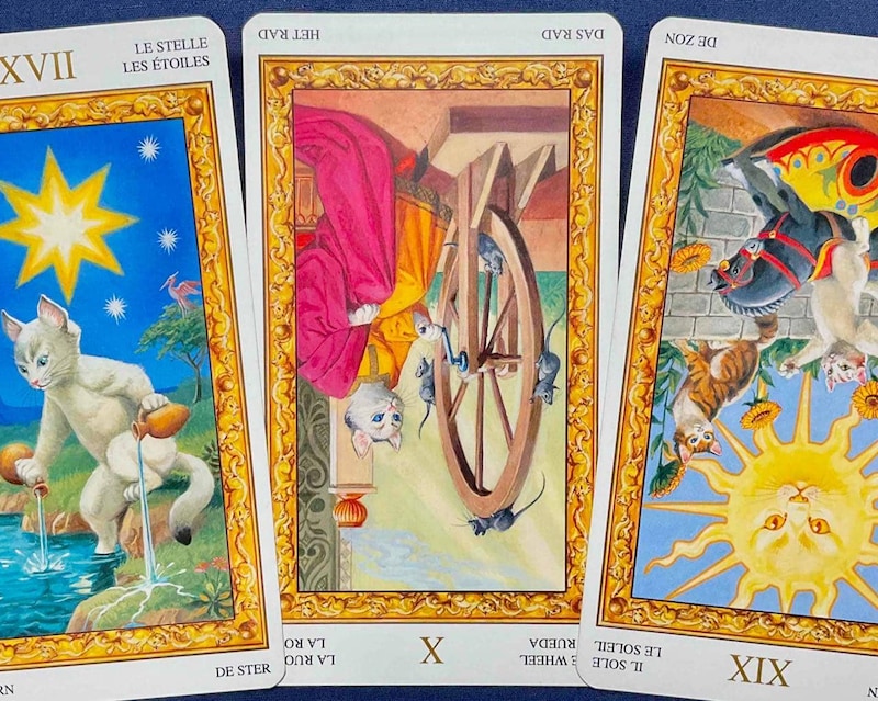 【牡牛座】週間タロット占い《来週:2025年9月29日〜10月5日》の総合運&恋愛運