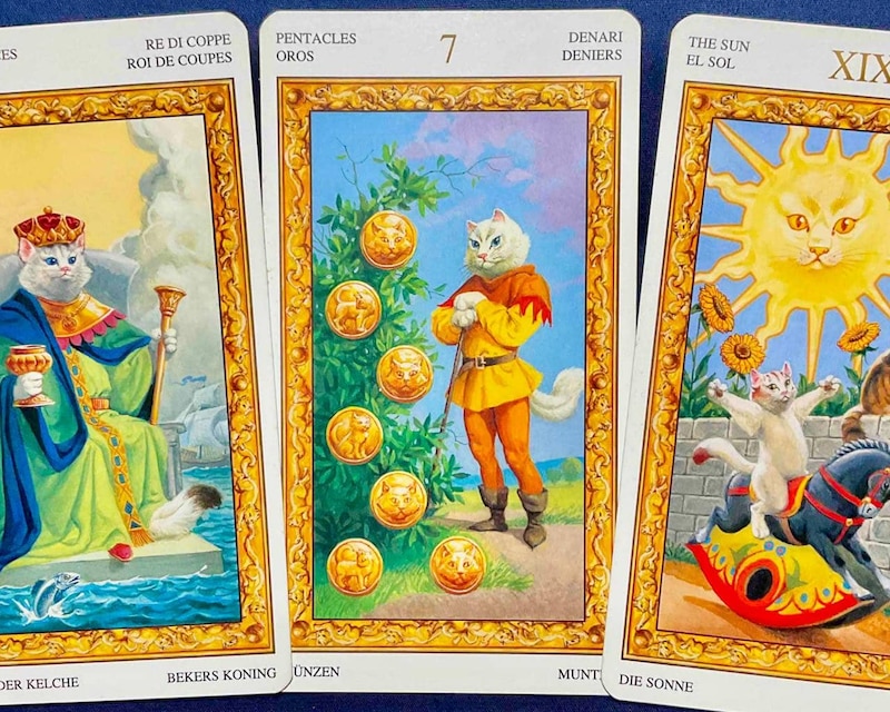 【牡羊座】週間タロット占い《来週：2026年1月12日〜1月18日》の総合運＆恋愛運