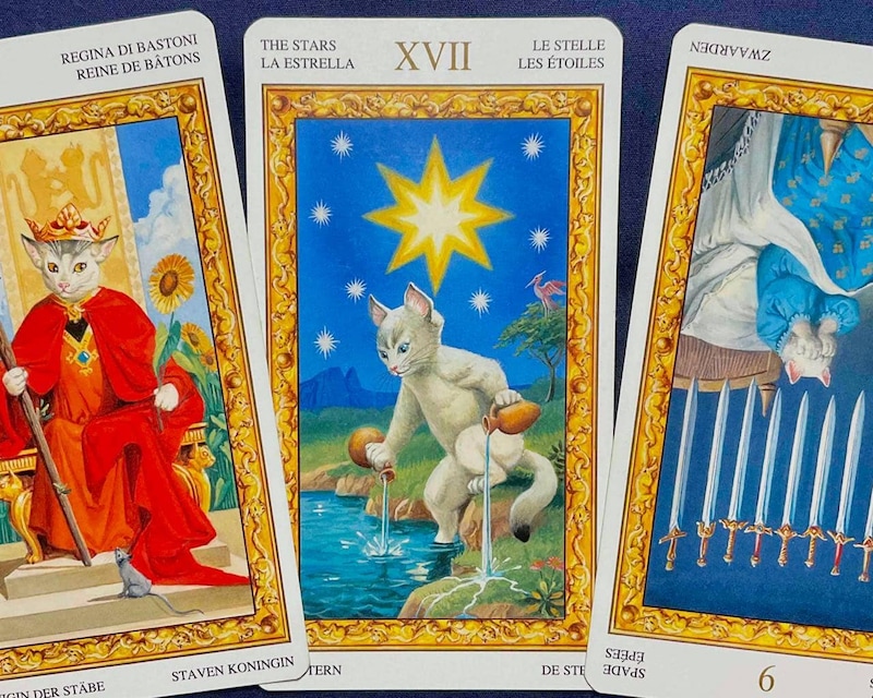 【山羊座】週間タロット占い《来週：2026年1月12日〜1月18日》の総合運＆恋愛運