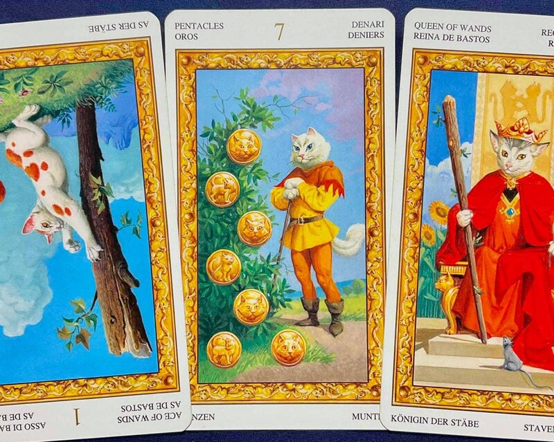 【蟹座】週間タロット占い《来週:2026年1月19日〜1月25日》の総合運&恋愛運