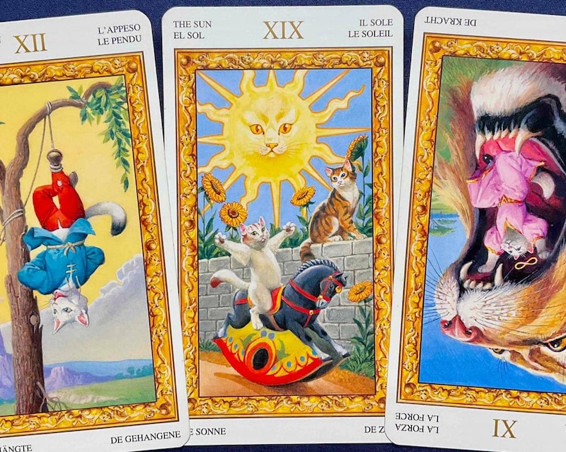 【水瓶座】週間タロット占い《来週:2026年1月19日〜1月25日》の総合運&恋愛運