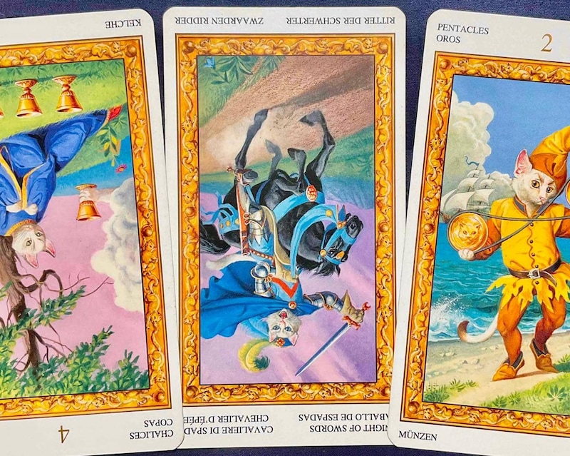 【蟹座】週間タロット占い《来週：2026年1月26日〜2月1日》の総合運＆恋愛運