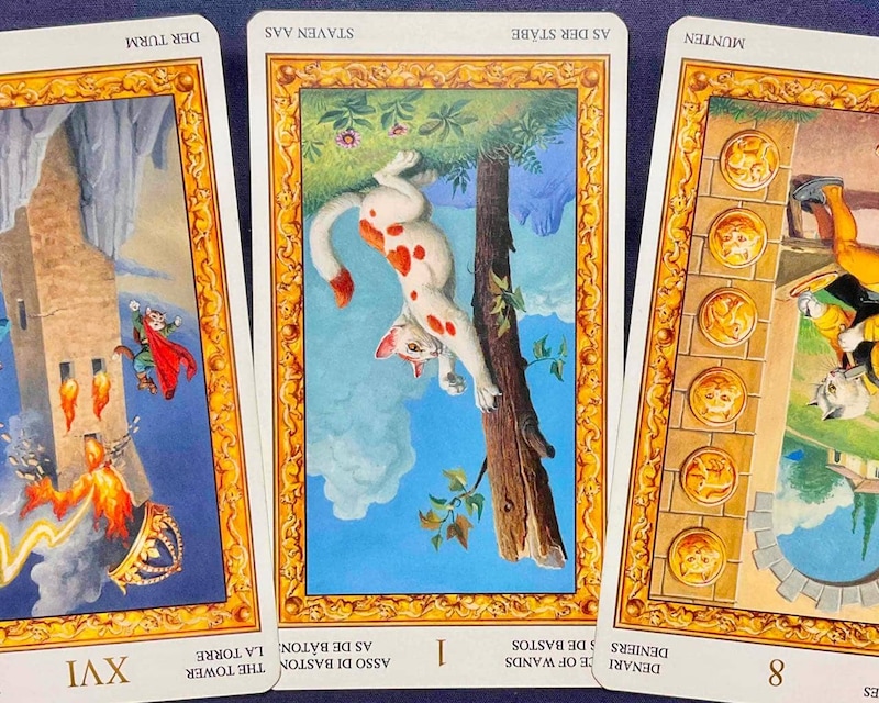 【獅子座】週間タロット占い《来週：2026年1月26日〜2月1日》の総合運＆恋愛運