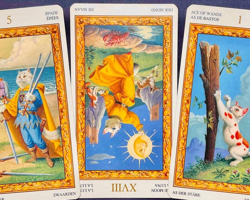 【水瓶座】週間タロット占い《来週：2026年1月26日〜2月1日》の総合運＆恋愛運