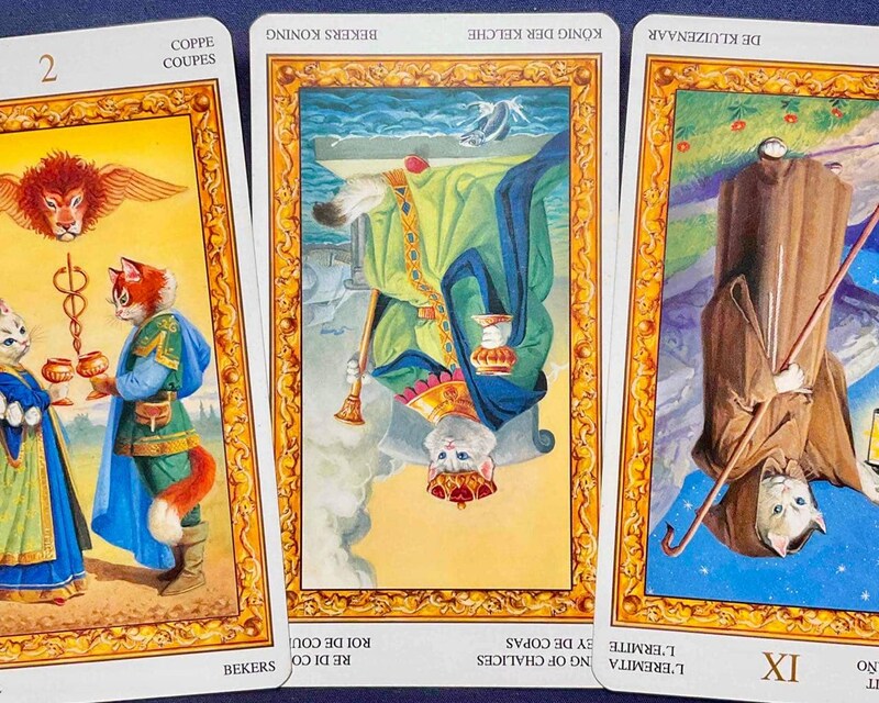 【魚座】週間タロット占い《来週：2026年1月26日〜2月1日》の総合運＆恋愛運