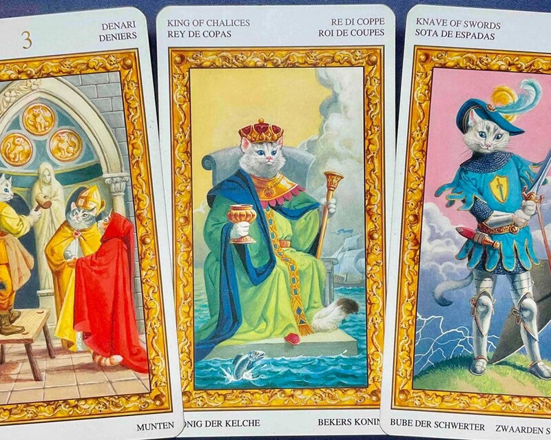 【射手座】週間タロット占い《来週：2026年2月2日〜2月8日》の総合運＆恋愛運