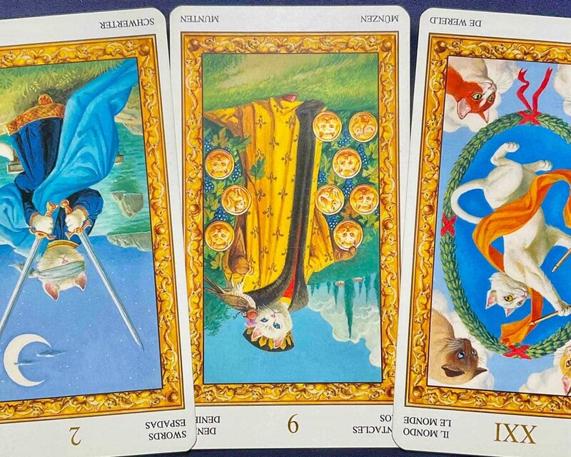 【魚座】週間タロット占い《来週:2026年2月2日〜2月8日》の総合運&恋愛運