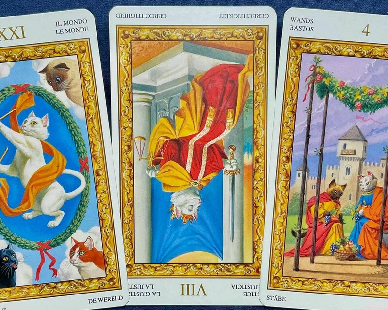 【牡羊座】週間タロット占い《来週：2026年2月9日〜2月15日》の総合運＆恋愛運