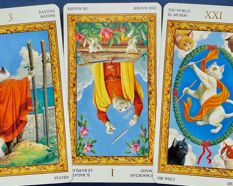 【獅子座】週間タロット占い《来週:2026年2月9日〜2月15日》の総合運&恋愛運