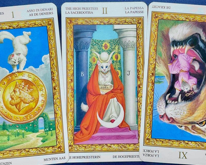 【牡牛座】週間タロット占い《来週：2026年2月16日〜2月22日》の総合運＆恋愛運