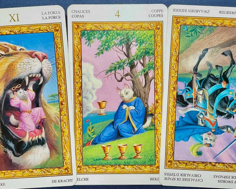 【双子座】週間タロット占い《来週：2026年2月16日〜2月22日》の総合運＆恋愛運