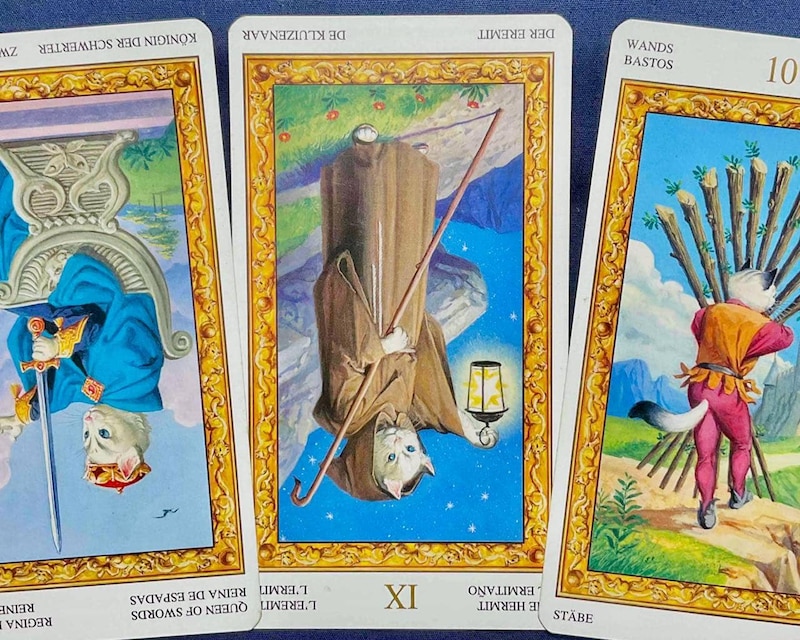 【射手座】週間タロット占い《来週：2026年2月16日〜2月22日》の総合運＆恋愛運