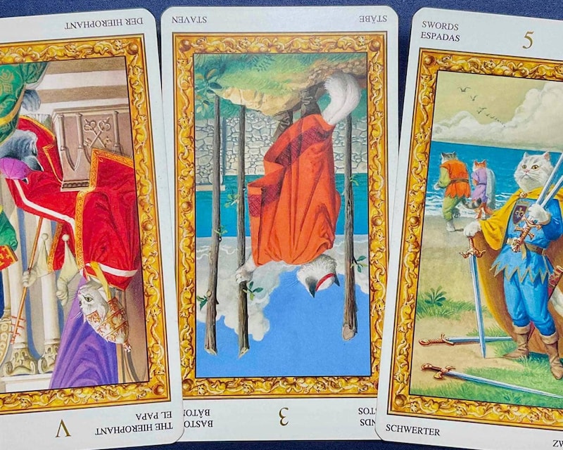 【山羊座】週間タロット占い《来週:2026年2月16日〜2月22日》の総合運&恋愛運