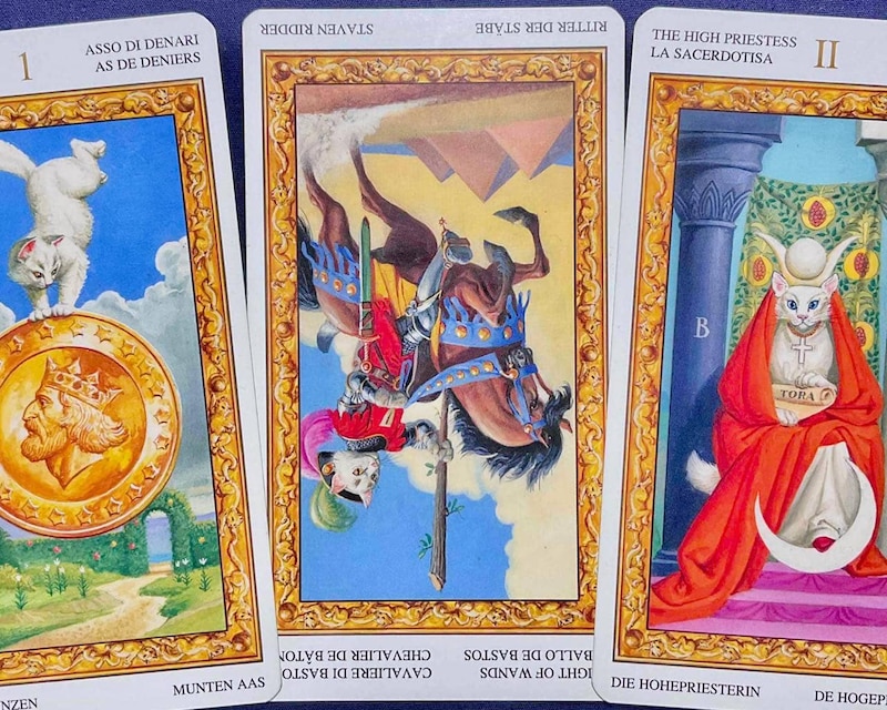 【水瓶座】週間タロット占い《来週:2026年2月16日〜2月22日》の総合運&恋愛運