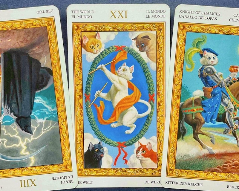 【牡羊座】週間タロット占い《来週:2026年2月23日〜3月1日》の総合運&恋愛運