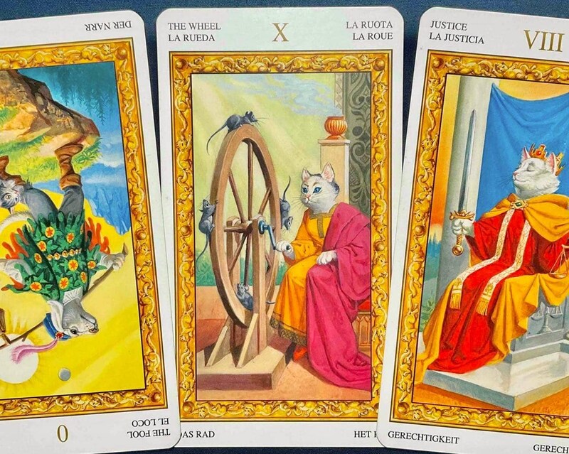 【射手座】週間タロット占い《来週：2026年2月23日〜3月1日》の総合運＆恋愛運