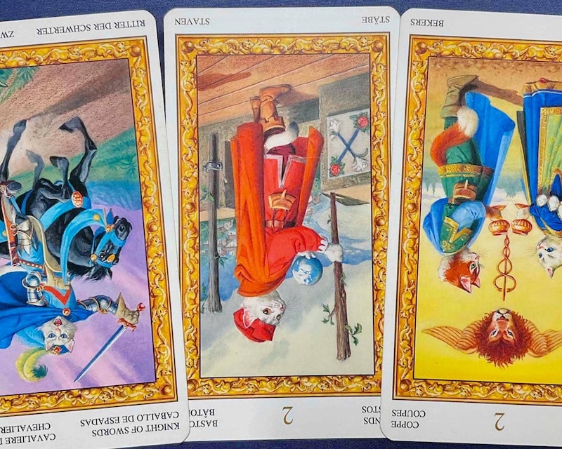 【蠍座】週間タロット占い《来週：2026年3月2日〜3月8日》の総合運＆恋愛運