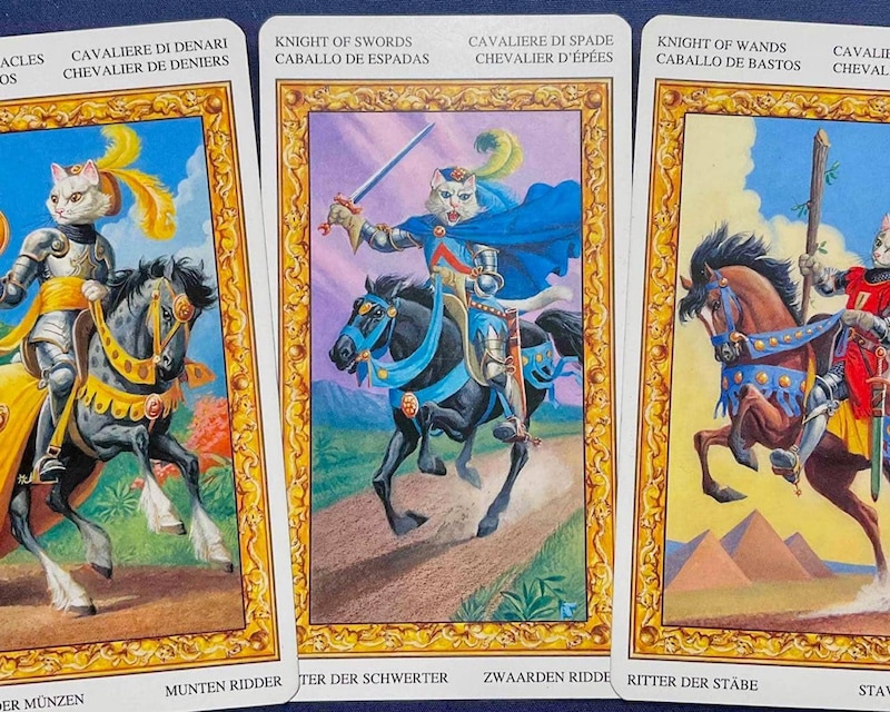 【山羊座】週間タロット占い《来週：2026年3月2日〜3月8日》の総合運＆恋愛運