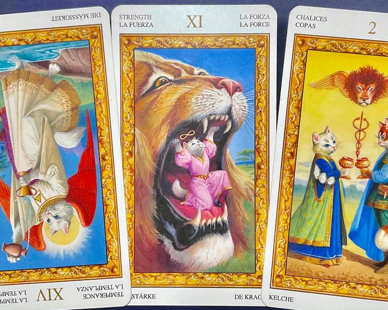 【双子座】週間タロット占い《来週:2026年3月9日〜3月15日》の総合運&恋愛運