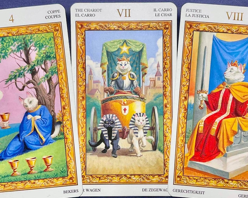 【射手座】週間タロット占い《来週：2026年3月9日〜3月15日》の総合運＆恋愛運