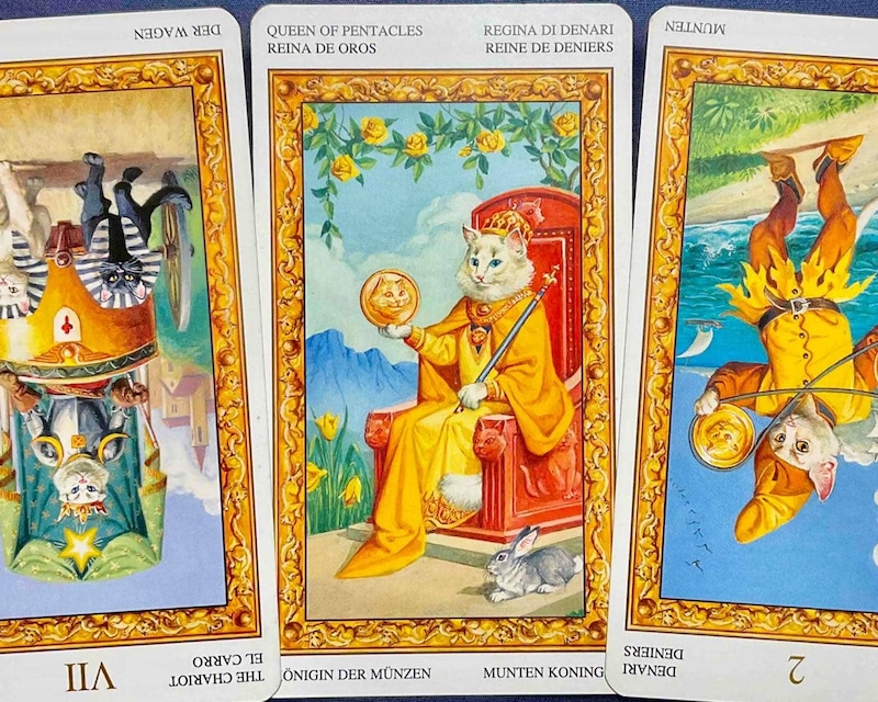 【牡牛座】週間タロット占い《来週:2026年3月16日〜3月22日》の総合運&恋愛運